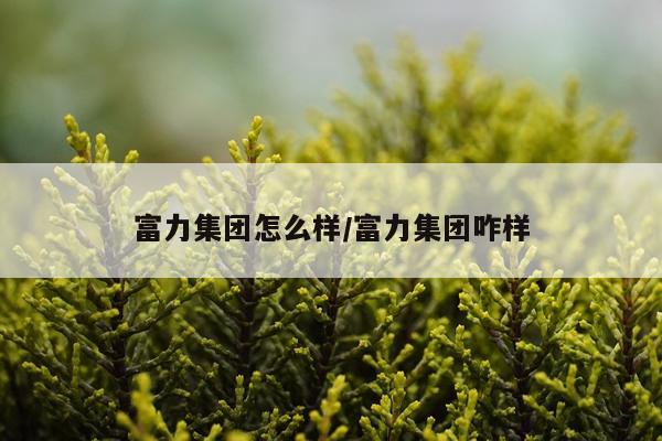 富力集团怎么样/富力集团咋样