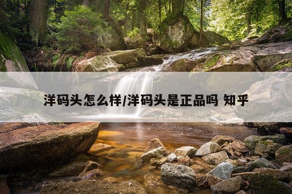 洋码头怎么样/洋码头是正品吗 知乎