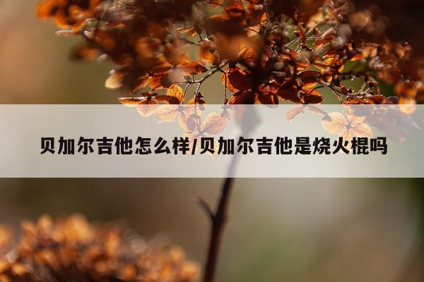 贝加尔吉他怎么样/贝加尔吉他是烧火棍吗