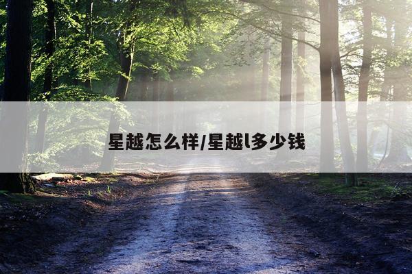 星越怎么样/星越l多少钱