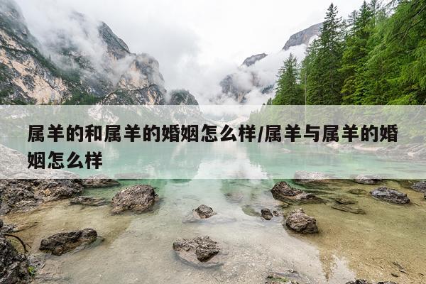 属羊的和属羊的婚姻怎么样/属羊与属羊的婚姻怎么样