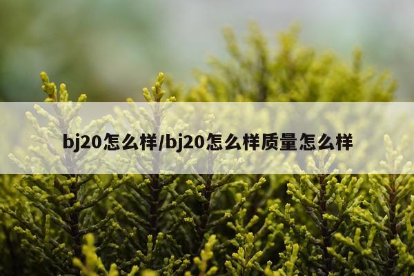 bj20怎么样/bj20怎么样质量怎么样