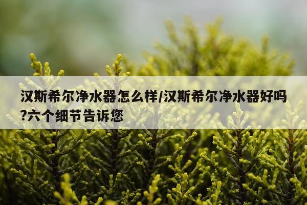 汉斯希尔净水器怎么样/汉斯希尔净水器好吗?六个细节告诉您