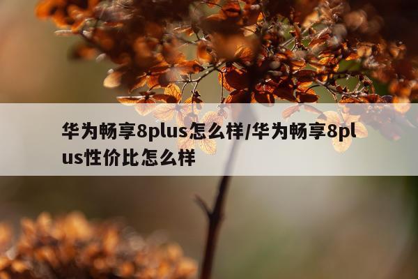 华为畅享8plus怎么样/华为畅享8plus性价比怎么样