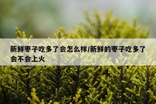 新鲜枣子吃多了会怎么样/新鲜的枣子吃多了会不会上火