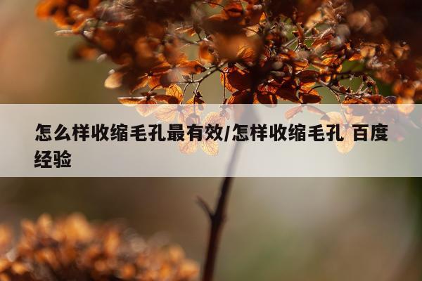 怎么样收缩毛孔最有效/怎样收缩毛孔 百度经验