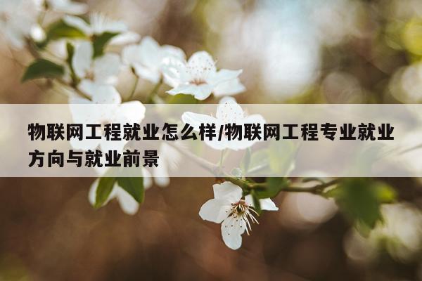 物联网工程就业怎么样/物联网工程专业就业方向与就业前景
