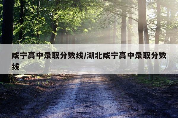咸宁高中录取分数线/湖北咸宁高中录取分数线