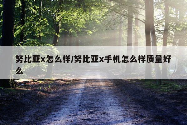 努比亚x怎么样/努比亚x手机怎么样质量好么