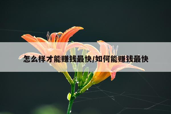 怎么样才能赚钱最快/如何能赚钱最快