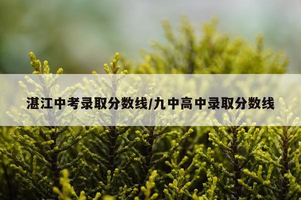 湛江中考录取分数线/九中高中录取分数线
