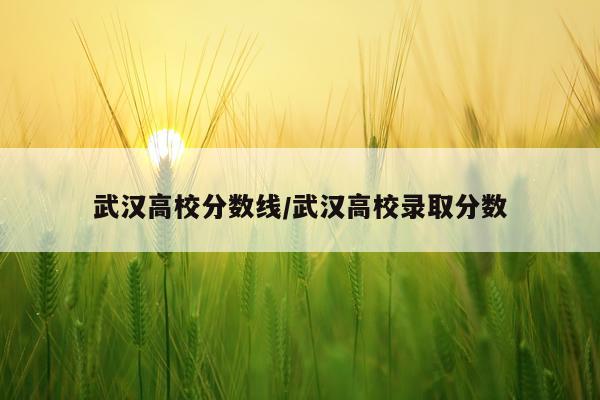 武汉高校分数线/武汉高校录取分数