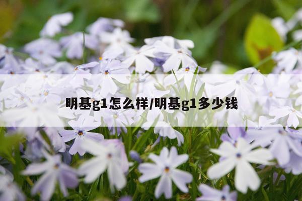 明基g1怎么样/明基g1多少钱