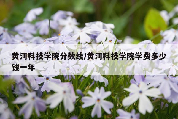黄河科技学院分数线/黄河科技学院学费多少钱一年
