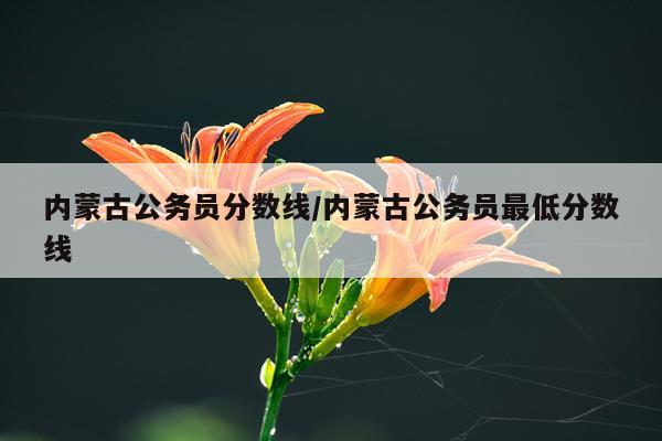 内蒙古公务员分数线/内蒙古公务员最低分数线
