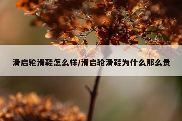 滑启轮滑鞋怎么样/滑启轮滑鞋为什么那么贵