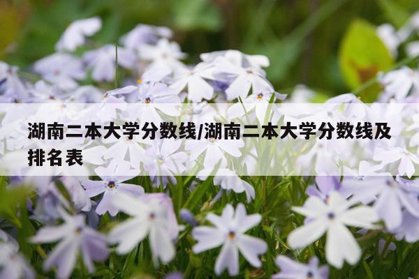 湖南二本大学分数线/湖南二本大学分数线及排名表