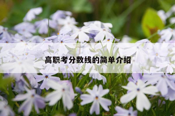 高职考分数线的简单介绍