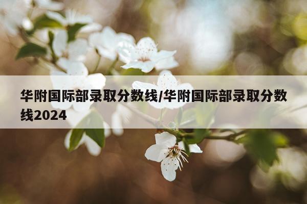 华附国际部录取分数线/华附国际部录取分数线2024
