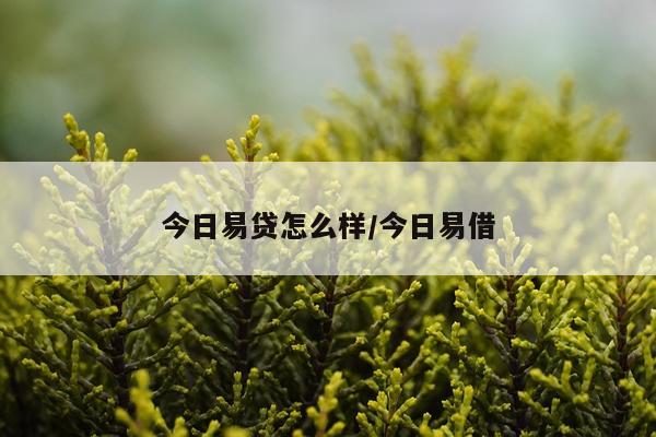 今日易贷怎么样/今日易借