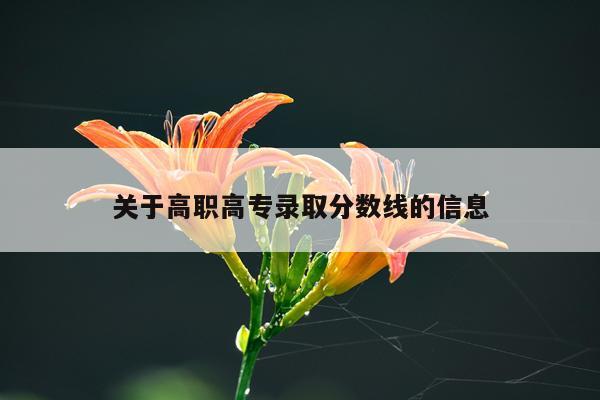 关于高职高专录取分数线的信息
