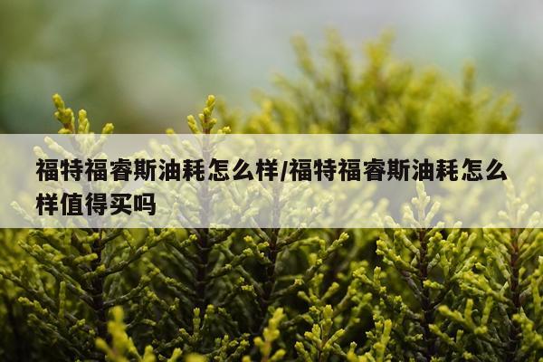 福特福睿斯油耗怎么样/福特福睿斯油耗怎么样值得买吗