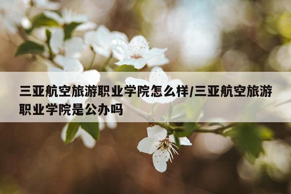 三亚航空旅游职业学院怎么样/三亚航空旅游职业学院是公办吗