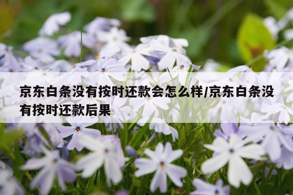 京东白条没有按时还款会怎么样/京东白条没有按时还款后果