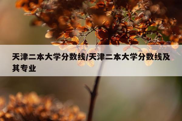 天津二本大学分数线/天津二本大学分数线及其专业