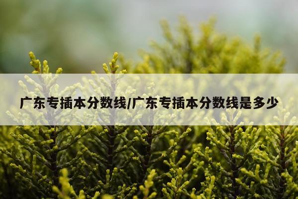 广东专插本分数线/广东专插本分数线是多少
