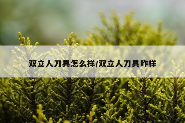 双立人刀具怎么样/双立人刀具咋样