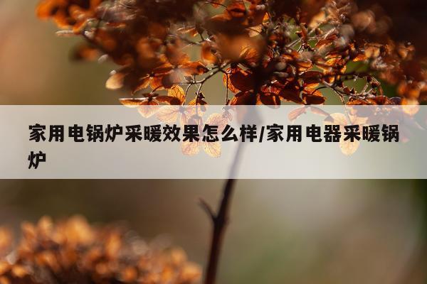 家用电锅炉采暖效果怎么样/家用电器采暖锅炉