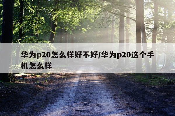 华为p20怎么样好不好/华为p20这个手机怎么样