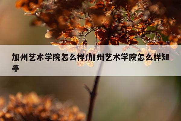加州艺术学院怎么样/加州艺术学院怎么样知乎