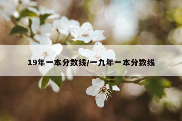19年一本分数线/一九年一本分数线