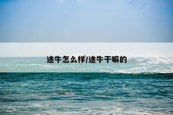 途牛怎么样/途牛干嘛的