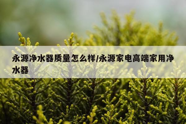 永源净水器质量怎么样/永源家电高端家用净水器
