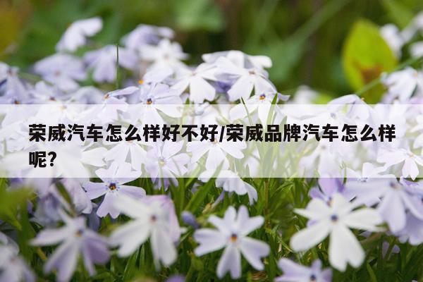 荣威汽车怎么样好不好/荣威品牌汽车怎么样呢?
