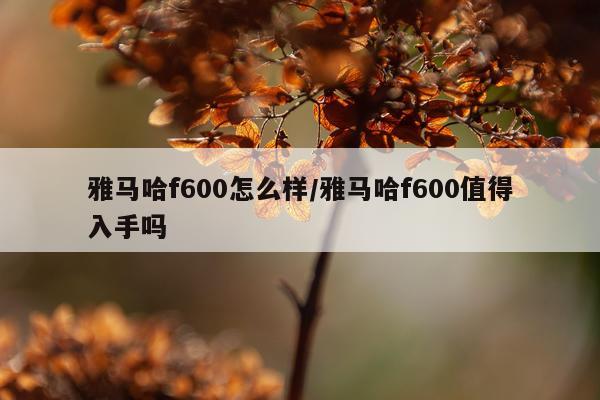 雅马哈f600怎么样/雅马哈f600值得入手吗