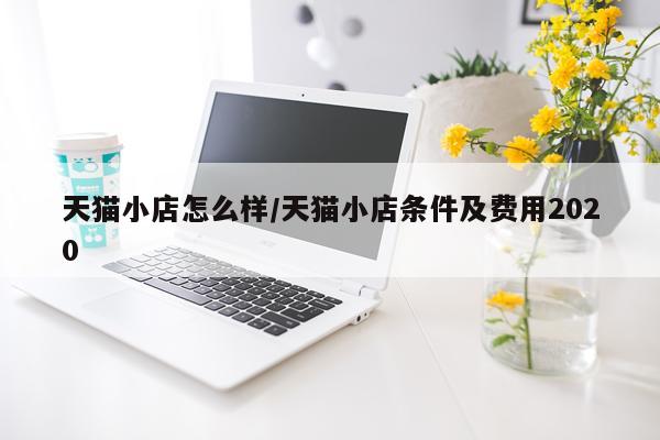 天猫小店怎么样/天猫小店条件及费用2020