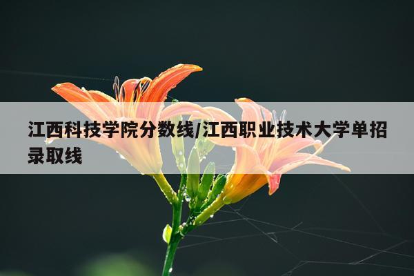 江西科技学院分数线/江西职业技术大学单招录取线
