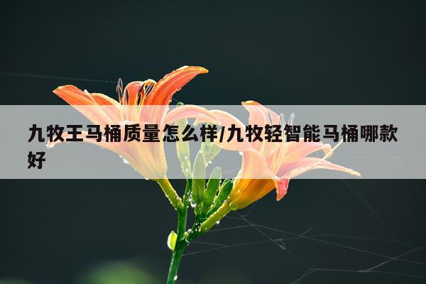 九牧王马桶质量怎么样/九牧轻智能马桶哪款好