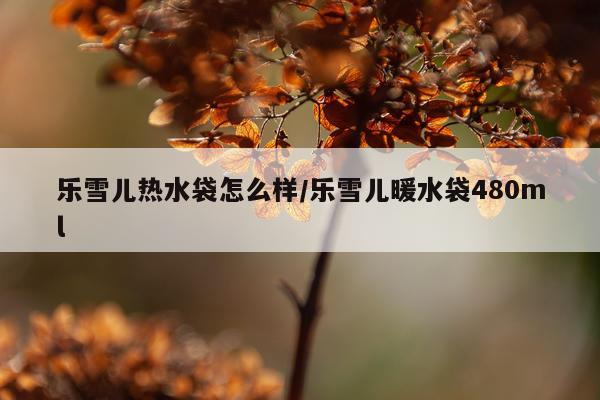 乐雪儿热水袋怎么样/乐雪儿暖水袋480ml