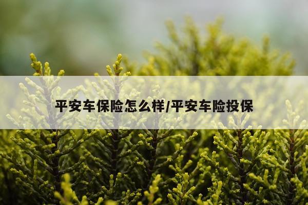 平安车保险怎么样/平安车险投保