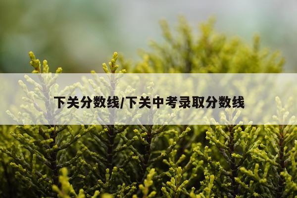 下关分数线/下关中考录取分数线