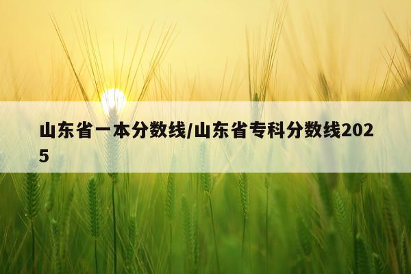 山东省一本分数线/山东省专科分数线2025