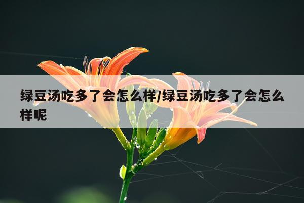 绿豆汤吃多了会怎么样/绿豆汤吃多了会怎么样呢