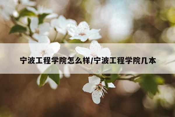 宁波工程学院怎么样/宁波工程学院几本