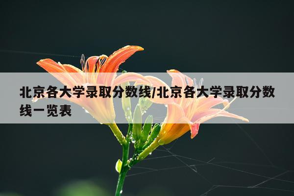 北京各大学录取分数线/北京各大学录取分数线一览表