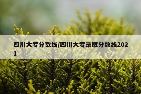 四川大专分数线/四川大专录取分数线2021